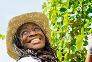 VARTLAB s’engage pour une agriculture africaine durable à l’Africa Agri Forum 2025